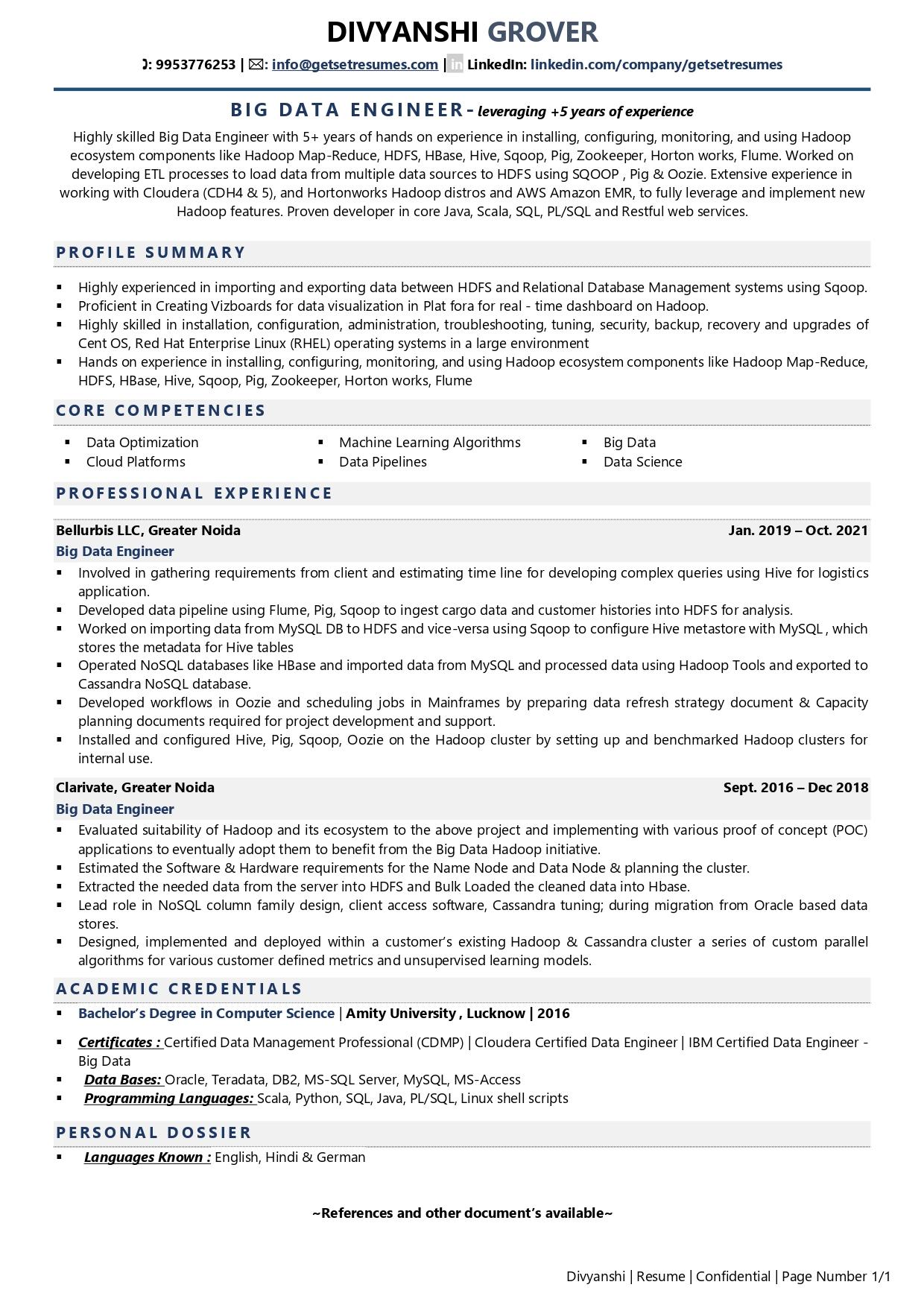 Big Data Engineer Resume Examples Template with Job Winning Tips 