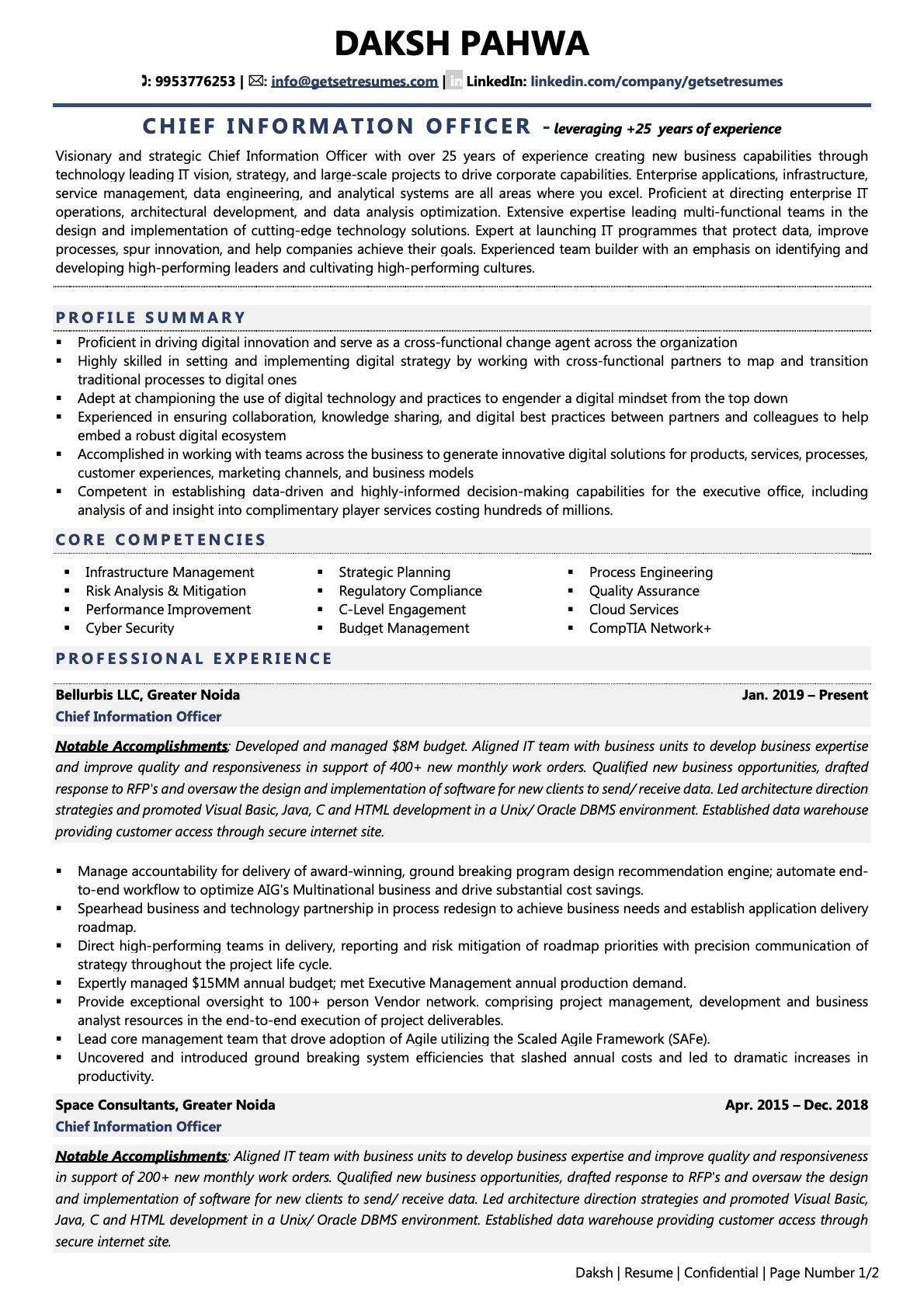 CIO Resume Examples Template with Job Winning Tips 